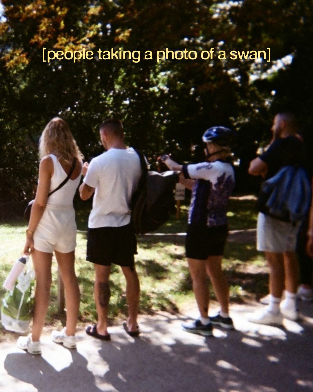 I shot a roll of film, slide 2