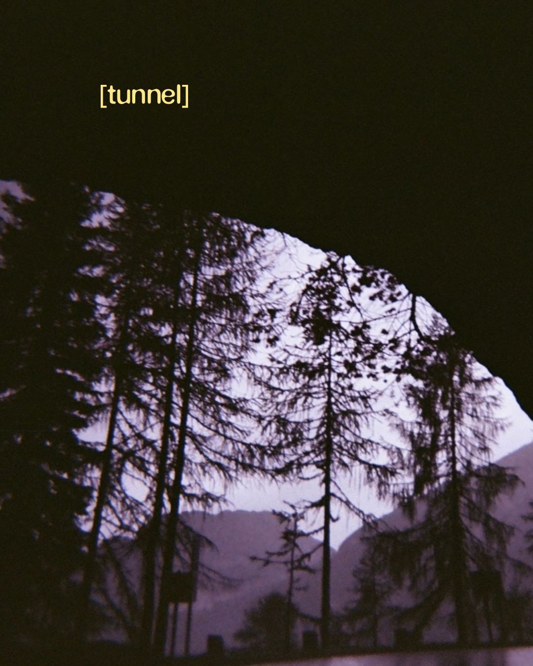I shot a roll of film, slide 6